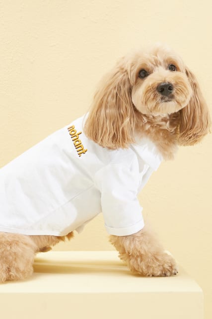 PET OXFORD SHIRT WHITE
