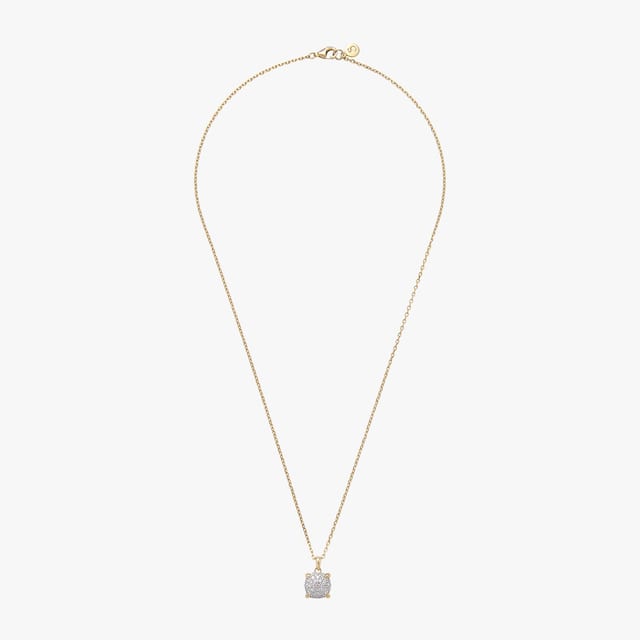 Claw Necklace